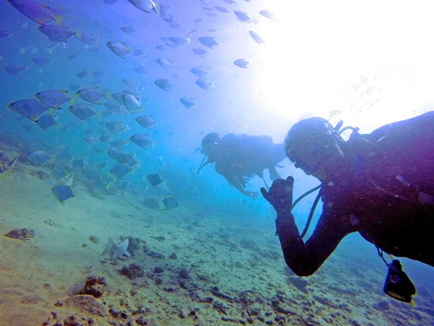 Queensland Scuba Diving Company, Main Beach, QLD