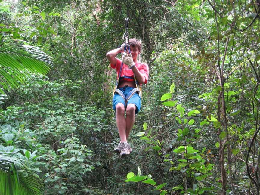 Forest Flying, Finch Hatton, QLD