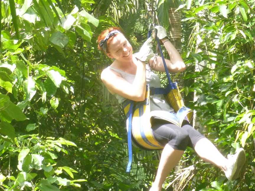 Forest Flying, Finch Hatton, QLD