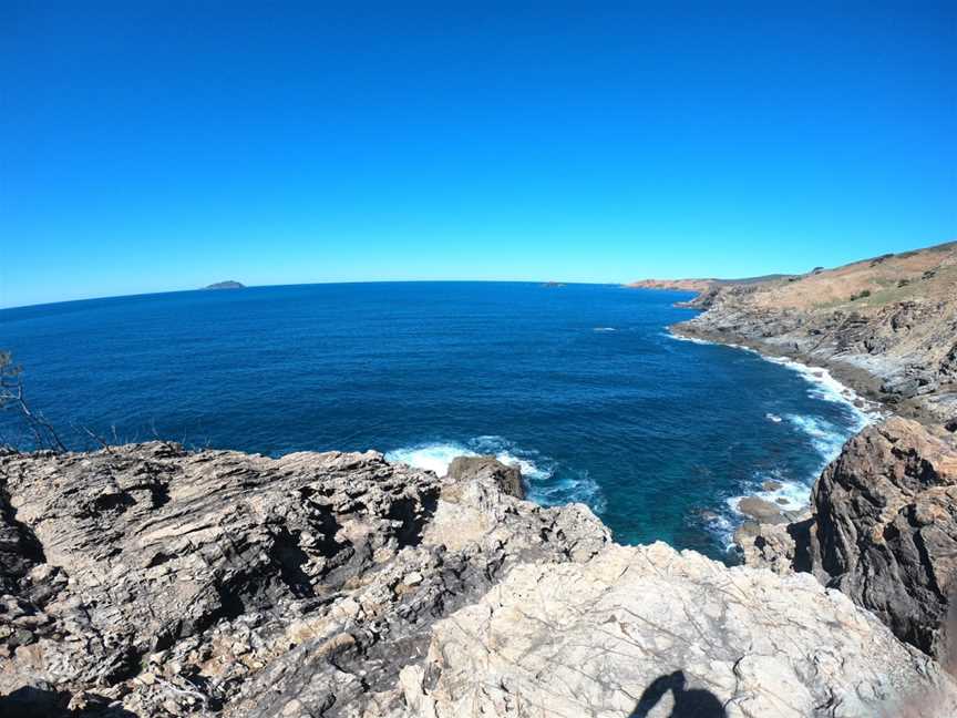 Keppel Dive & Snorkel, The Keppels, QLD