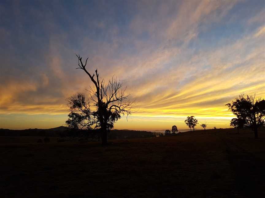 Hot Air Ballooning Scenic Rim, Beaudesert, QLD