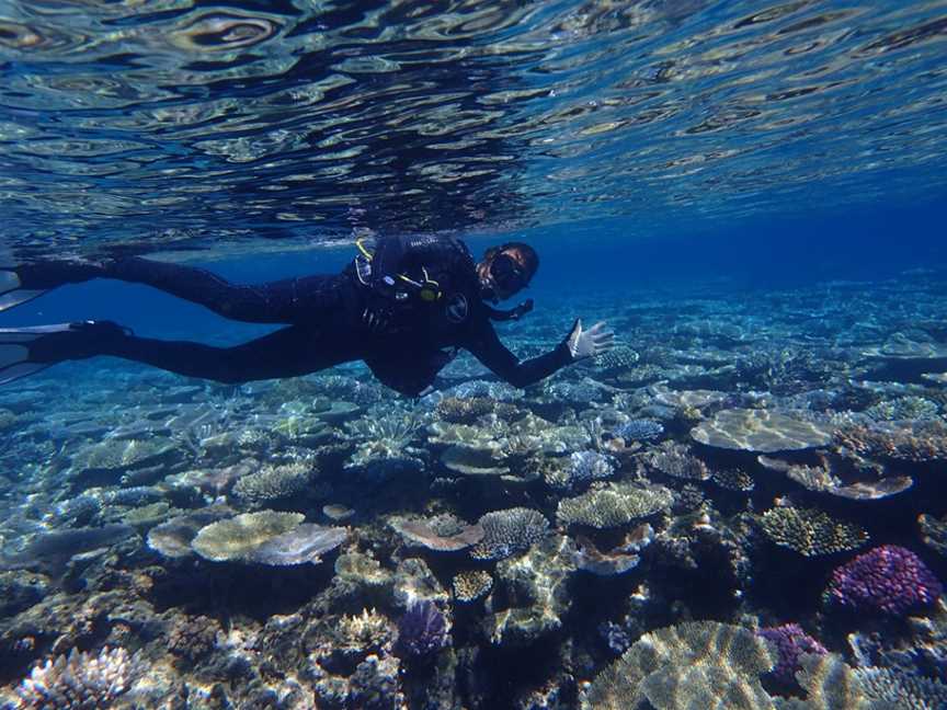 Pro Dive Magnetic Island, Nelly Bay, QLD