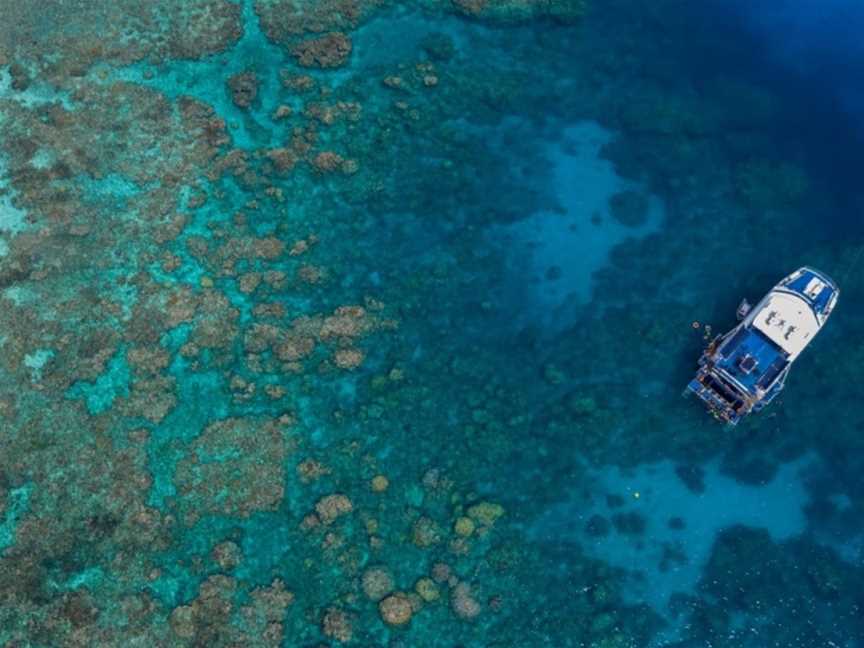 Reef Experience, Cairns City, QLD