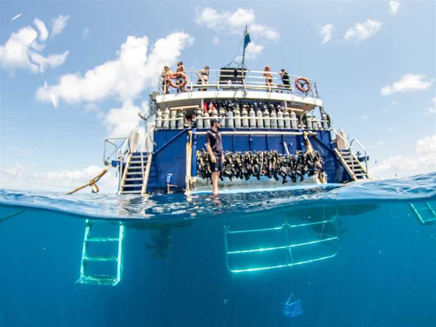 Reef Experience, Cairns City, QLD