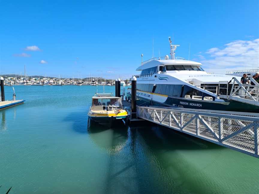 Freedom Fast Cat Cruises, Rosslyn, QLD