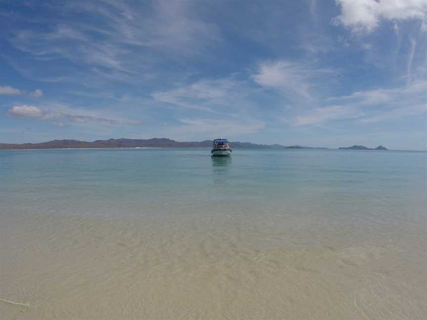 Whitsunday Islands Tours, Jubilee Pocket, QLD