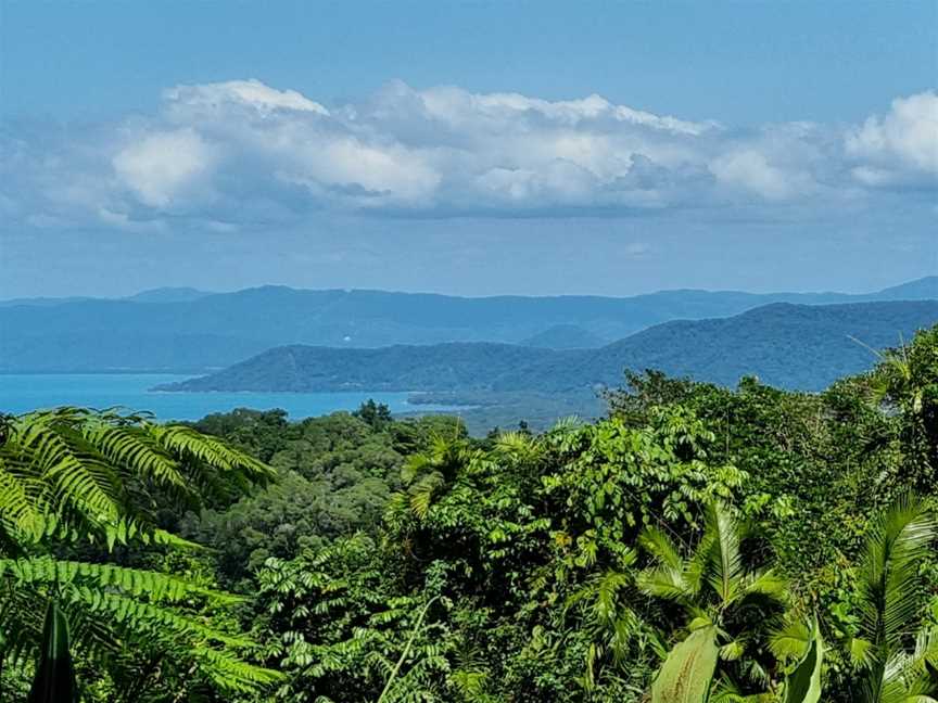 Tony's Tropical Tours, Port Douglas, QLD