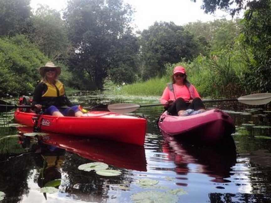 Kayak Fun - Adventure Tours, Wellington Point, QLD