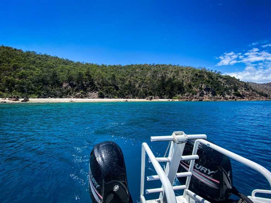 Whitsunday Dive Adventures, Airlie Beach, QLD