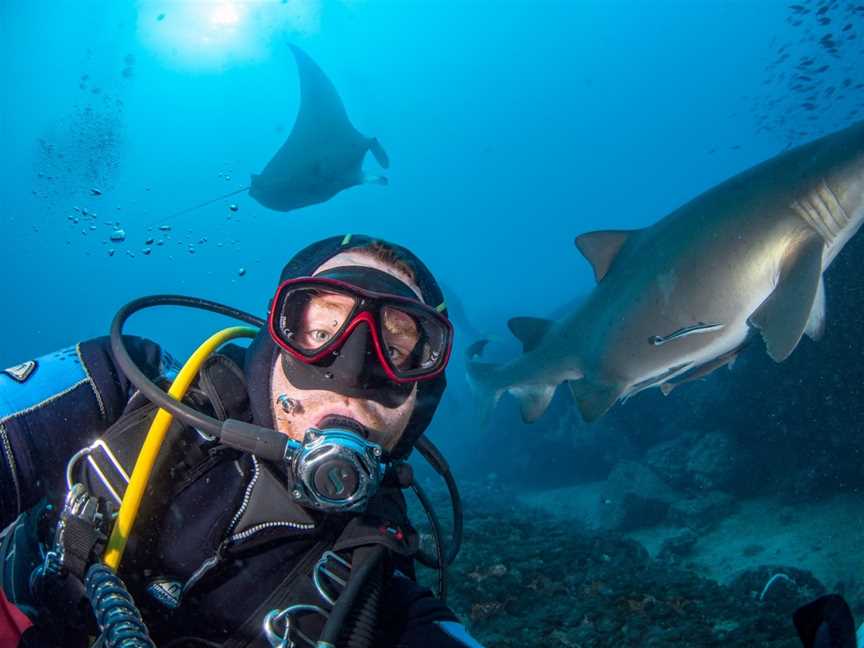 Wolf Rock Dive Centre, Rainbow Beach, QLD