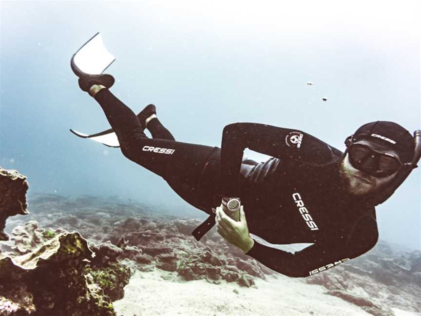 OceanSense Freediving Airlie Beach, Cannonvale, QLD