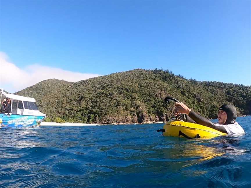 OceanSense Freediving Airlie Beach, Cannonvale, QLD