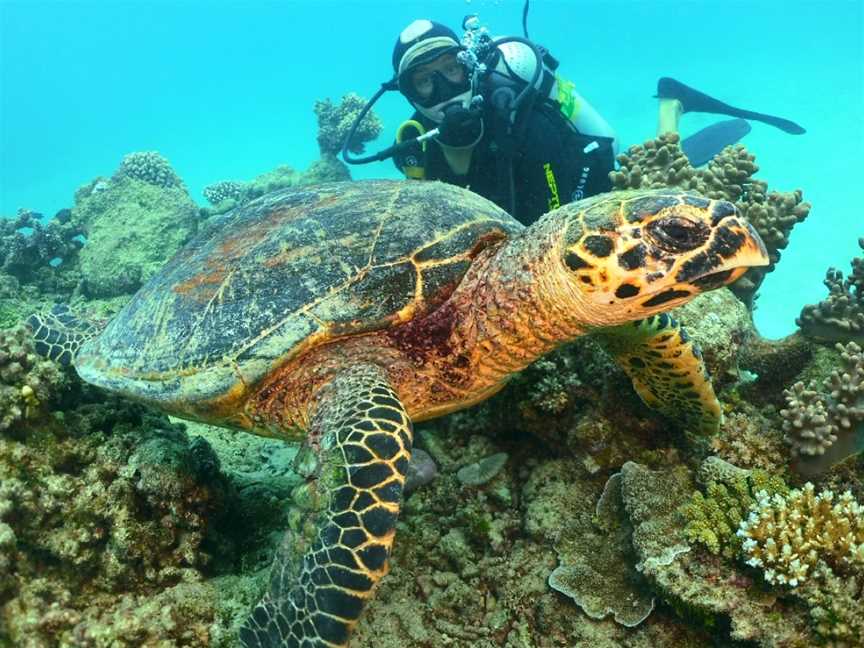 Rick's Dive School, Hope Island, QLD