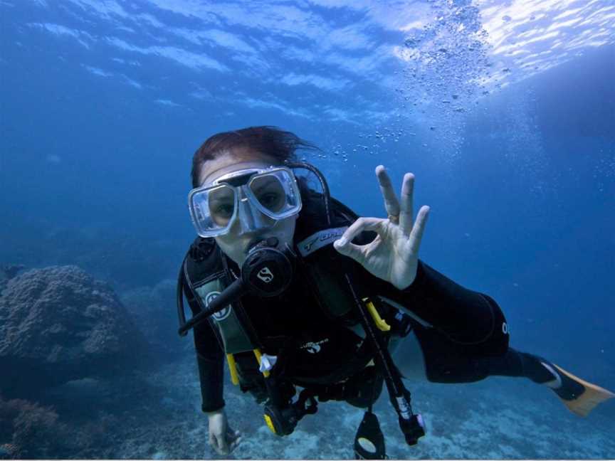 Australia Dive, Cairns City, QLD