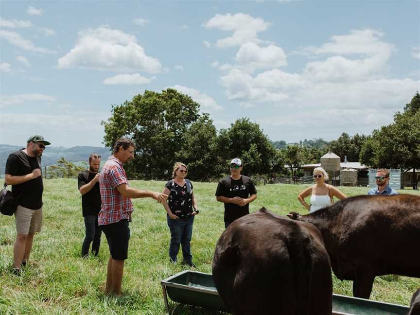 Creative Tours - Sunshine Coast, Mooloolaba, QLD