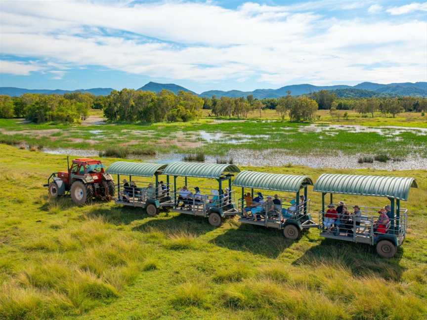 Whitsunday Crocodile Safari, Tours in Glen Isla