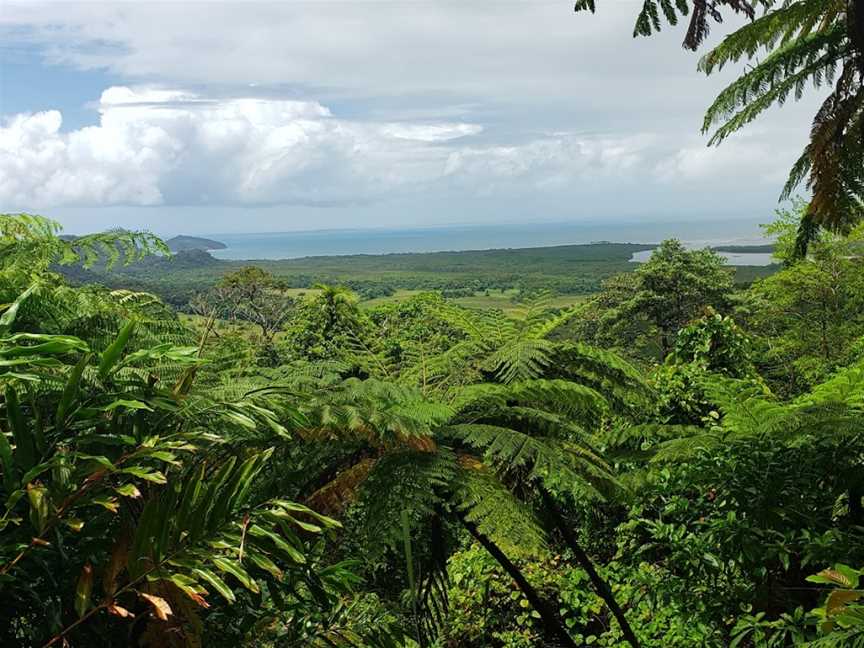 Tropic Wings Cairns Tours & Charters, Cairns City, QLD