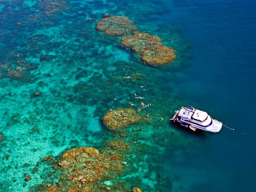 Cairns Cruise, Cairns City, QLD