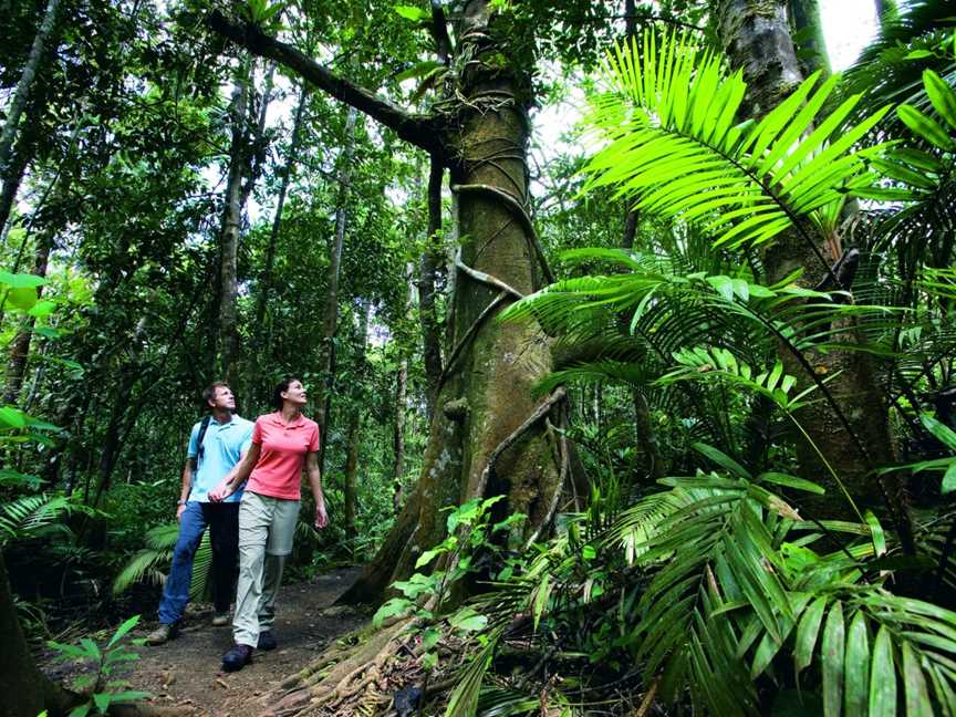 Active Tropics Explorer, Bungalow, QLD