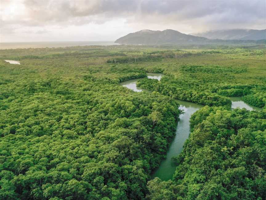 Daintree Experience, Forest Creek, QLD