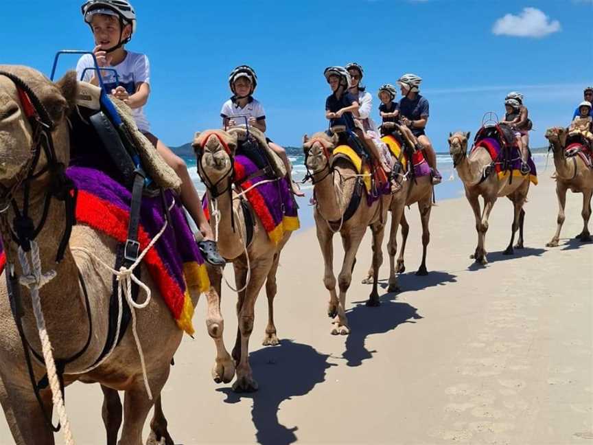 Noosa Camel Rides, Noosa North Shore, QLD