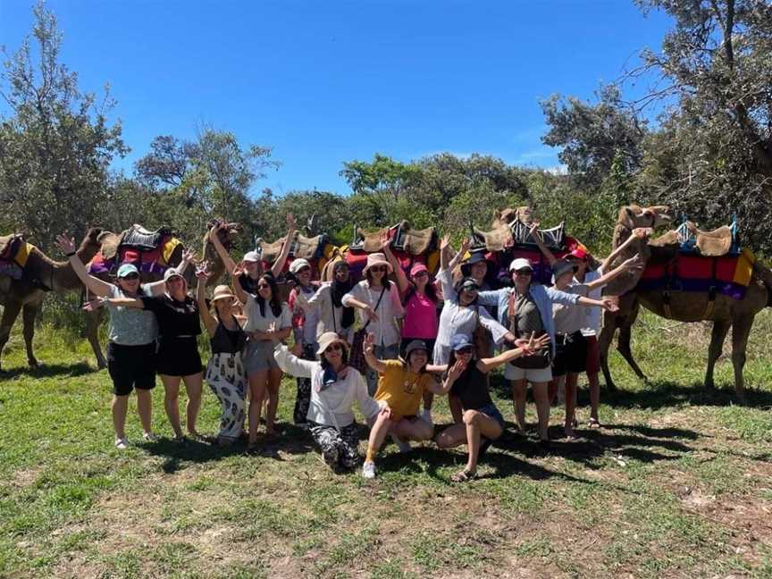 Noosa Camel Rides, Noosa North Shore, QLD