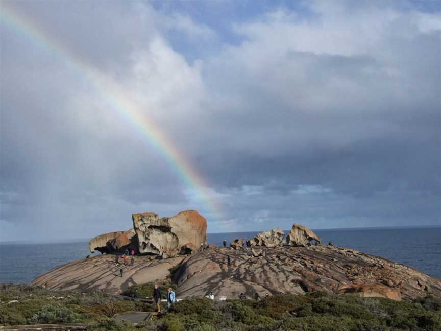 Kangaroo Island Tours & Nocturnal Tours, Kingscote, SA