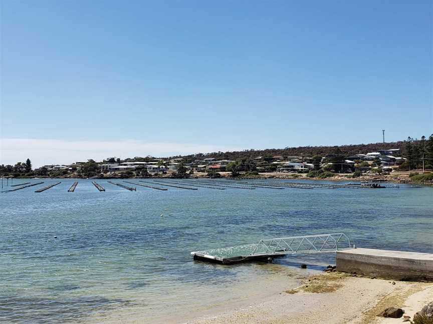 Oyster Farm Tours - Coffin Bay, Coffin Bay, SA