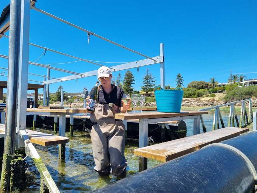 Oyster Farm Tours - Coffin Bay, Coffin Bay, SA