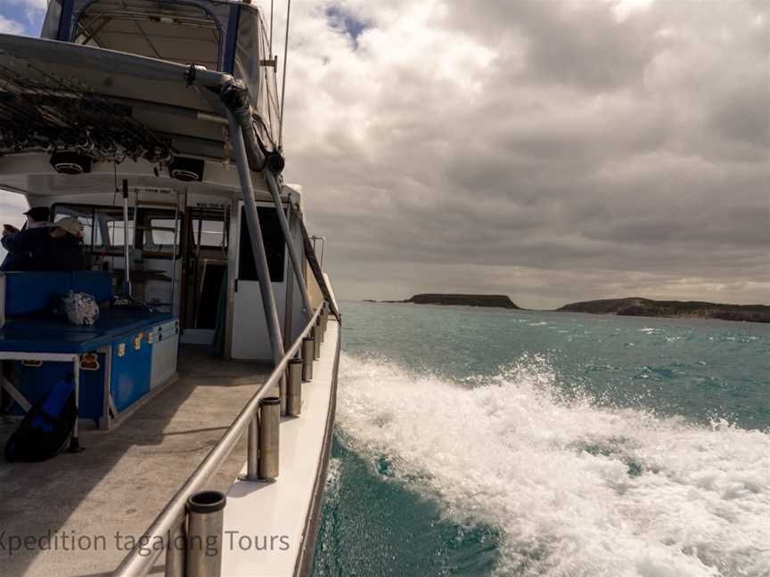 Marion Bay Ocean Safari, Marion Bay, SA