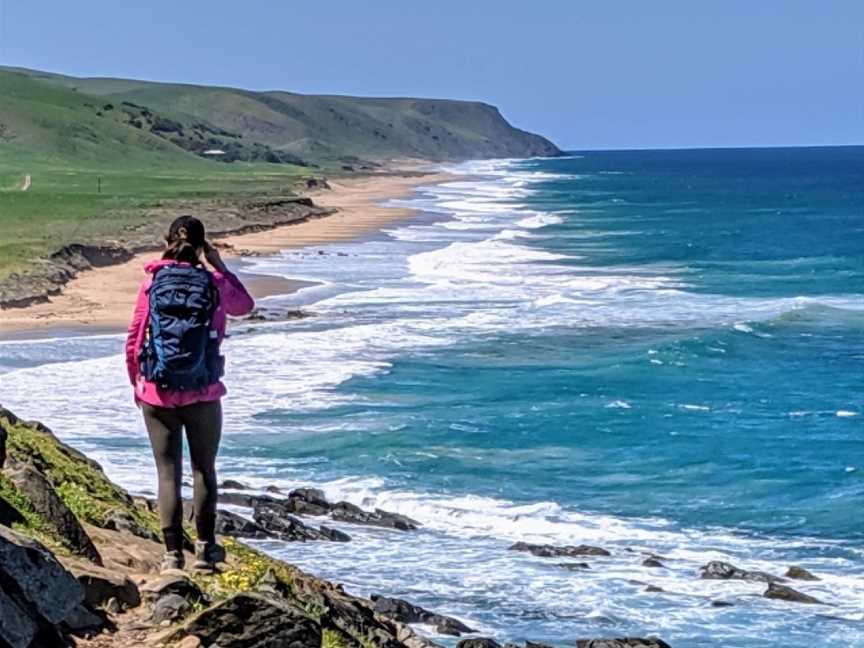 Southern Ocean Walk, Delamere, SA