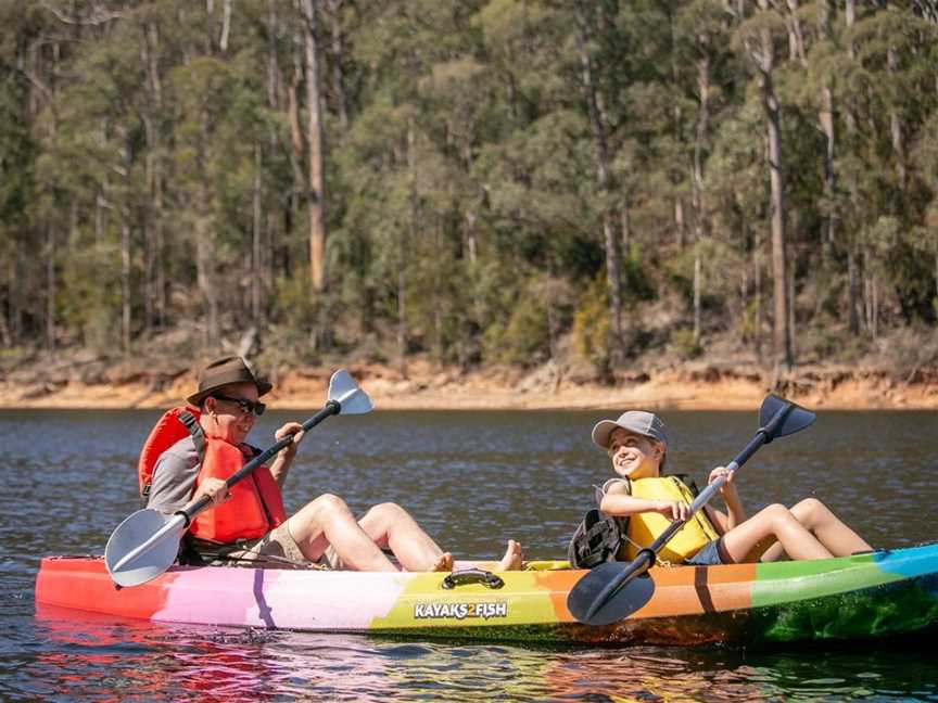 North West Safaris Tasmania, Sheffield, TAS