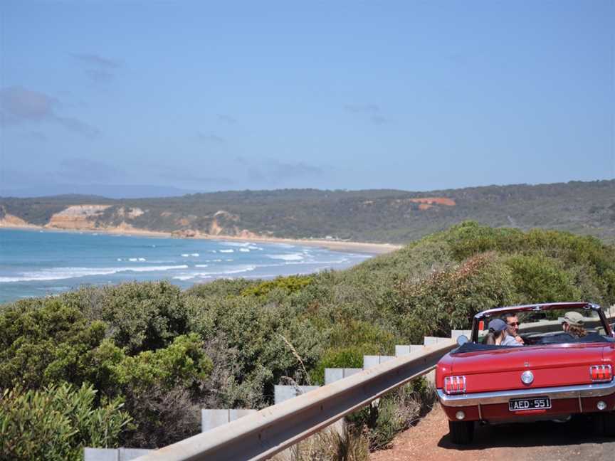 Mustang & Co., Geelong, VIC