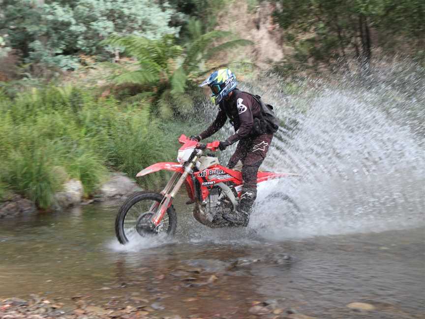 Mt Buller Motorcycle Adventures, Merrijig, VIC