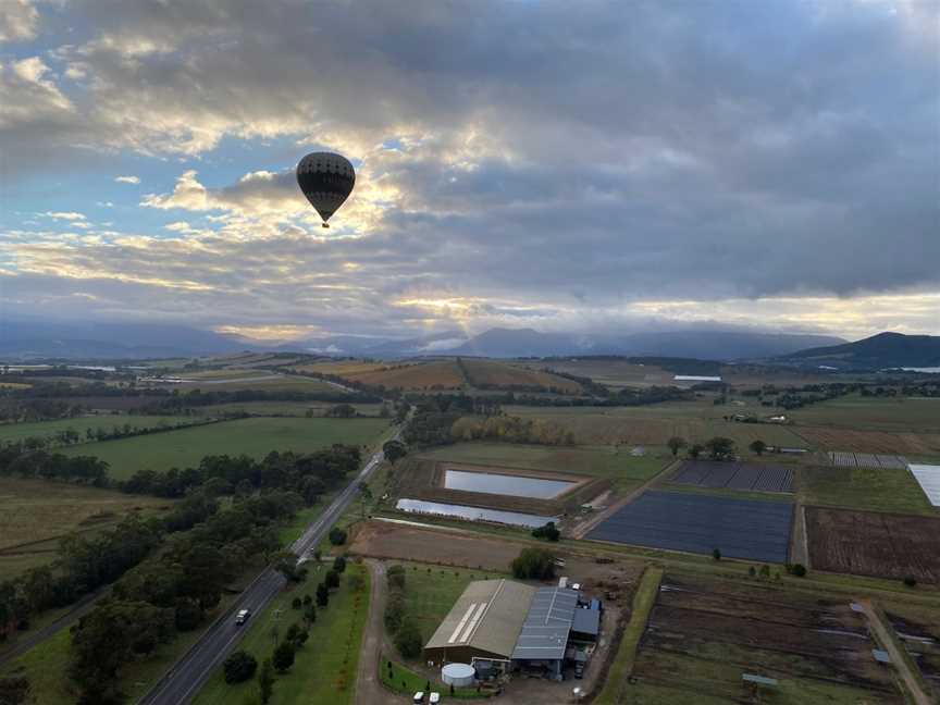 Go Wild Ballooning, Yering, VIC