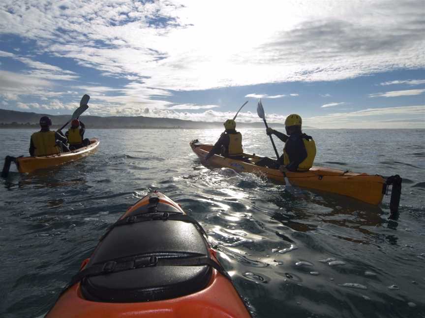 Apollo Bay Surf and Kayak, Apollo Bay, VIC