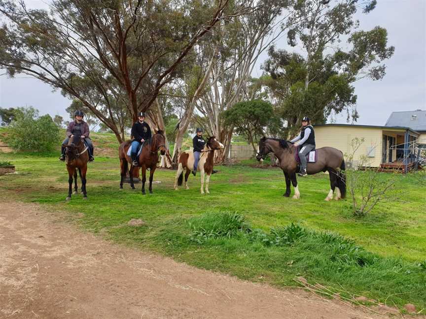 Ryans Ranch horse agistment & training complex, Lara, VIC