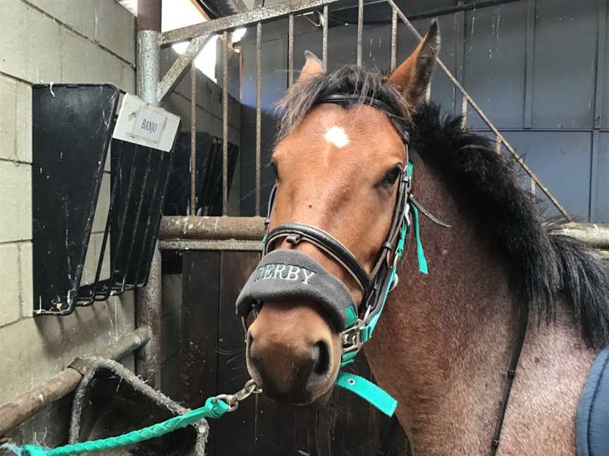 Wallington Park Equestrian Centre, Wallington, VIC