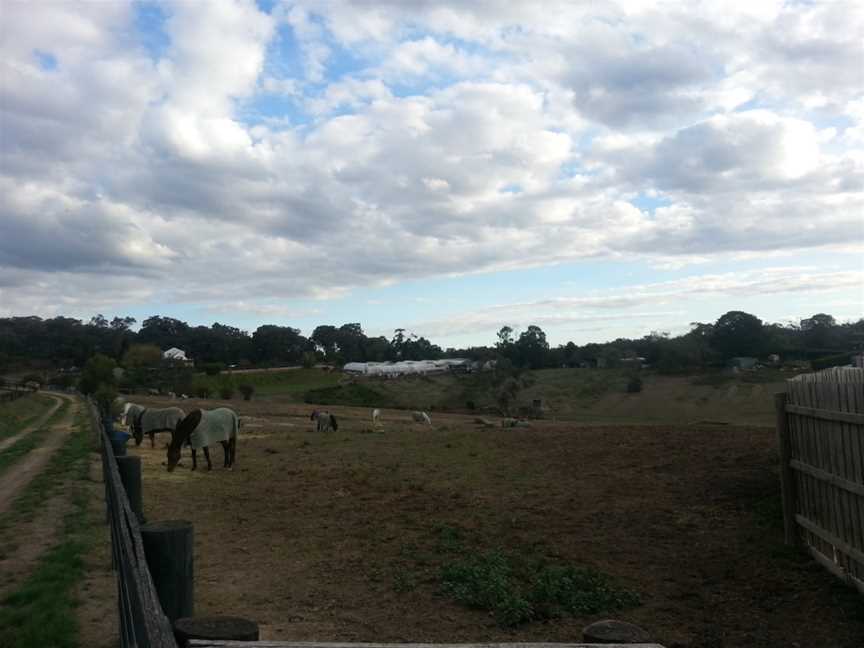 Tandivale Equestrian Centre & Pony Club, Warrandyte, VIC