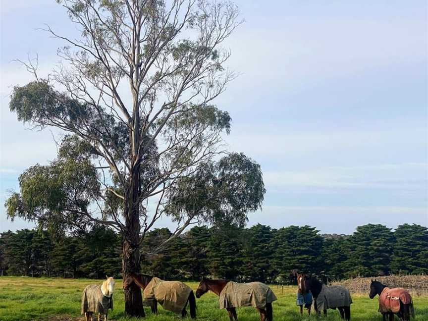 Woodlands Lodge, Oaklands Junction, VIC