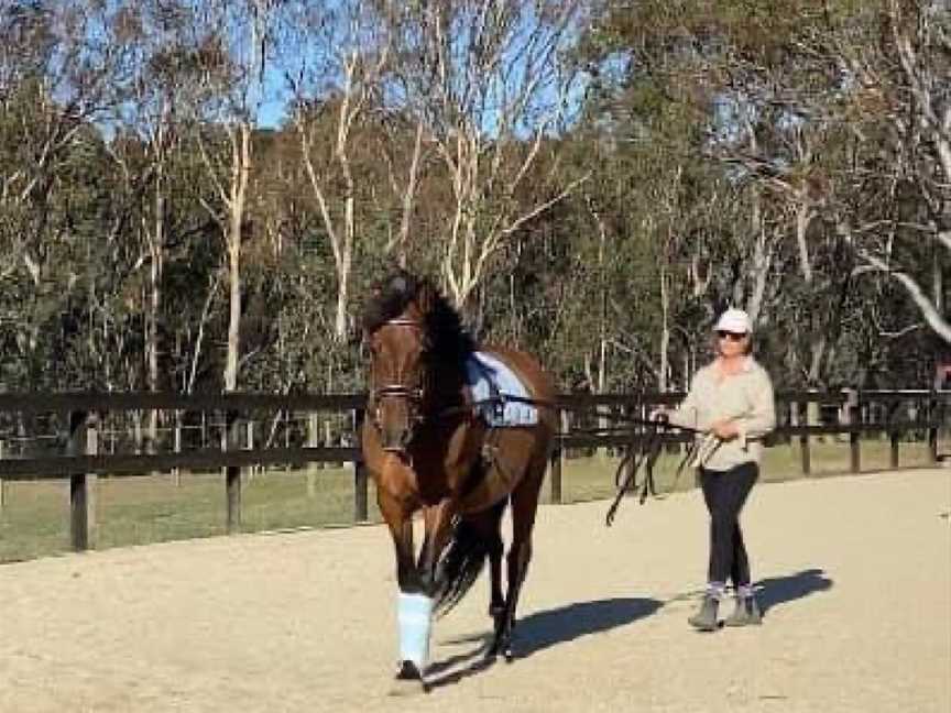 Ellamber Park Equestrian, Broadford, VIC