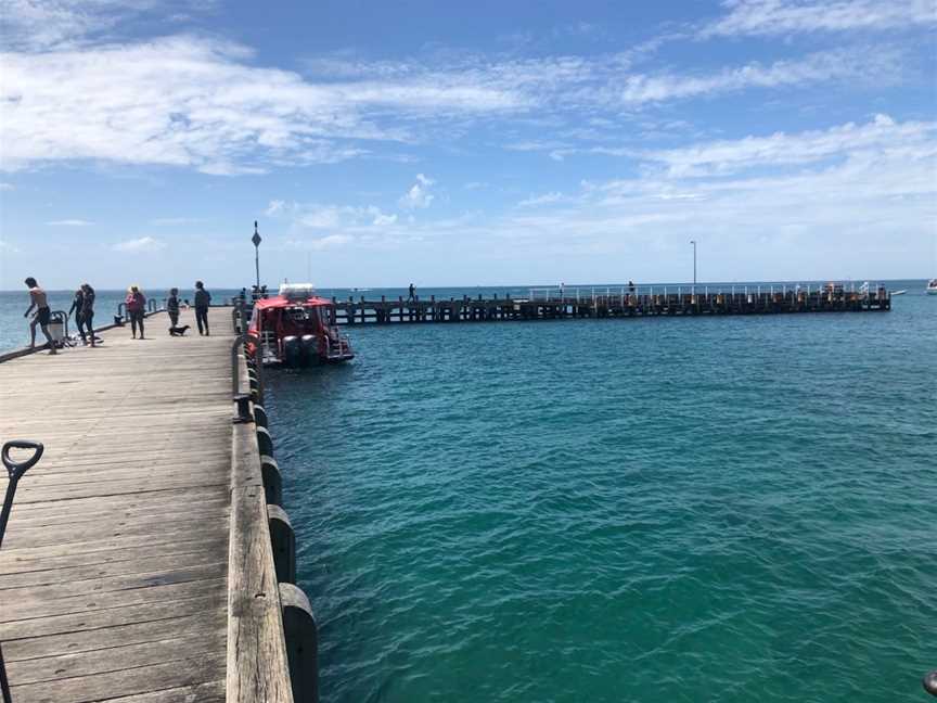 Redboats Queenscliff, Portsea, VIC