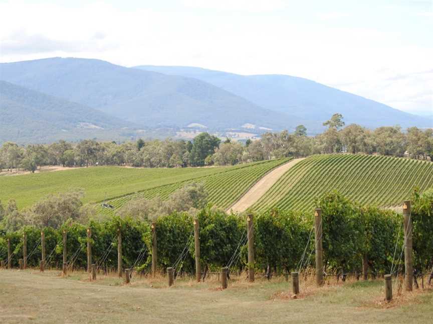 Dreamscape Winery Tours, Park Orchards, VIC