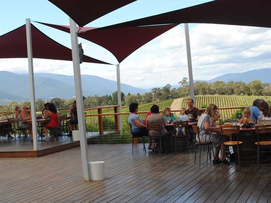 Dreamscape Winery Tours, Park Orchards, VIC