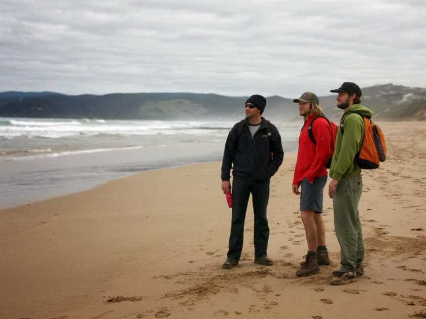 Surf Coast Walks, Anglesea, VIC