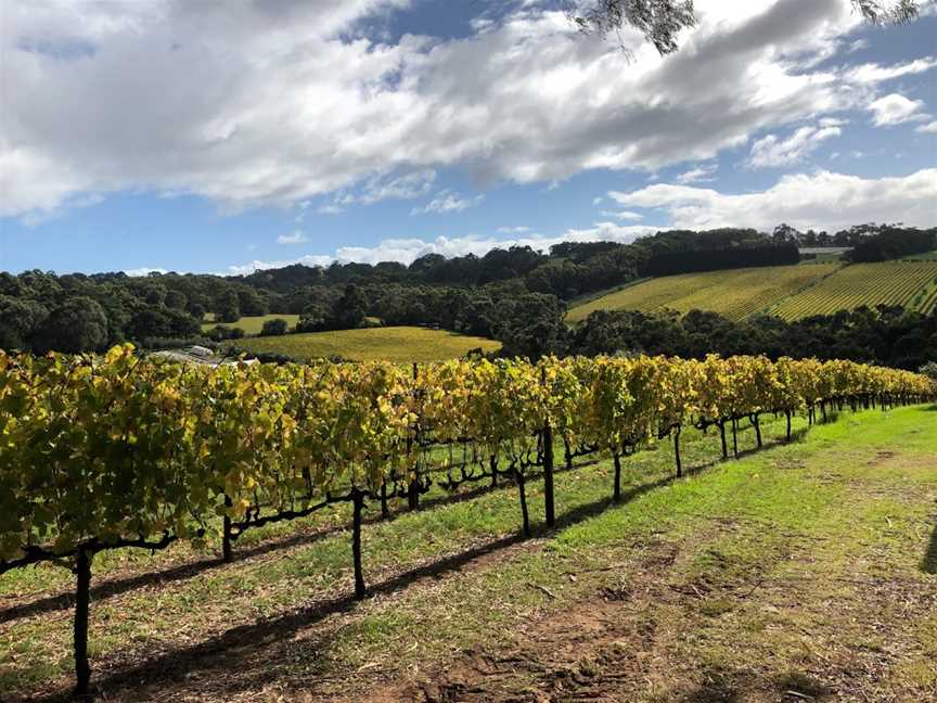 Amour Of The Grape Tours, Rosebud, VIC