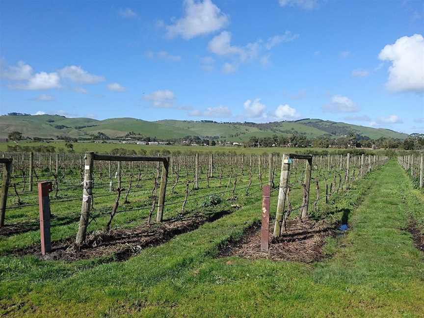 Phillip Island Wine Tours, Newhaven, VIC