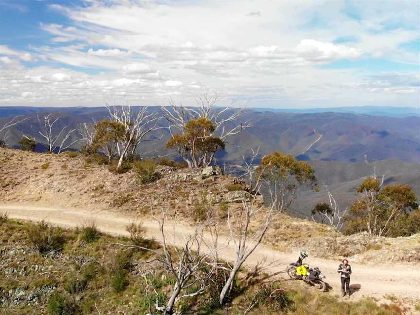 Mile Munchinâ€™ Adventures, Torquay, VIC