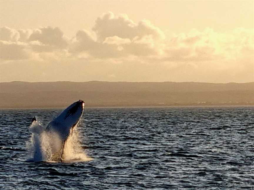 Ocean Eco Adventures, Exmouth, WA