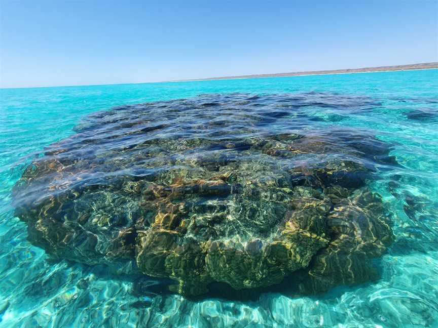 View Ningaloo, Exmouth, WA